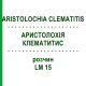 АРИСТОЛОХИЯ КЛЕМАТИТИС (ARISTOLOCHIA CLEMATITIS) LM 15 раствор 10 мл - Гомеопатия ARCANA DR.SEWERIN