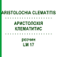 АРИСТОЛОХИЯ КЛЕМАТИТИС (ARISTOLOCHIA CLEMATITIS) LM 17 раствор 10 мл - Гомеопатия ARCANA DR.SEWERIN