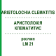 АРИСТОЛОХИЯ КЛЕМАТИТИС (ARISTOLOCHIA CLEMATITIS) LM 21 раствор 10 мл - Гомеопатия ARCANA DR.SEWERIN