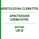 АРИСТОЛОХИЯ КЛЕМАТИТИС (ARISTOLOCHIA CLEMATITIS) LM 29 раствор 10 мл - Гомеопатия ARCANA DR.SEWERIN