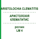 АРИСТОЛОХИЯ КЛЕМАТИТИС (ARISTOLOCHIA CLEMATITIS) LM 4 раствор 10 мл - Гомеопатия ARCANA DR.SEWERIN