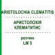 АРИСТОЛОХИЯ КЛЕМАТИТИС (ARISTOLOCHIA CLEMATITIS) LM 5 раствор 10 мл - Гомеопатия ARCANA DR.SEWERIN