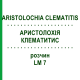 АРИСТОЛОХИЯ КЛЕМАТИТИС (ARISTOLOCHIA CLEMATITIS) LM 7 раствор 10 мл - Гомеопатия ARCANA DR.SEWERIN