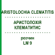 АРИСТОЛОХИЯ КЛЕМАТИТИС (ARISTOLOCHIA CLEMATITIS) LM 9 раствор 10 мл - Гомеопатия ARCANA DR.SEWERIN