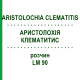 АРИСТОЛОХИЯ КЛЕМАТИТИС (ARISTOLOCHIA CLEMATITIS) LM 90 раствор 10 мл - Гомеопатия ARCANA DR.SEWERIN