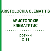 АРИСТОЛОХИЯ КЛЕМАТИТИС (ARISTOLOCHIA CLEMATITIS) Q 11 раствор 15 мл - Гомеопатия GUDJONS