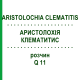 АРИСТОЛОХИЯ КЛЕМАТИТИС (ARISTOLOCHIA CLEMATITIS) Q 11 раствор 15 мл - Гомеопатия GUDJONS