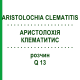 АРИСТОЛОХИЯ КЛЕМАТИТИС (ARISTOLOCHIA CLEMATITIS) Q 13 раствор 15 мл - Гомеопатия GUDJONS