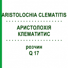 АРИСТОЛОХИЯ КЛЕМАТИТИС (ARISTOLOCHIA CLEMATITIS) Q 17 раствор 15 мл - Гомеопатия GUDJONS