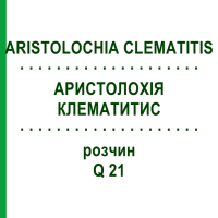 АРИСТОЛОХИЯ КЛЕМАТИТИС (ARISTOLOCHIA CLEMATITIS) Q 21 раствор 15 мл - Гомеопатия GUDJONS