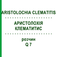 АРИСТОЛОХИЯ КЛЕМАТИТИС (ARISTOLOCHIA CLEMATITIS) Q 7 раствор 15 мл - Гомеопатия GUDJONS