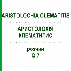 АРИСТОЛОХИЯ КЛЕМАТИТИС (ARISTOLOCHIA CLEMATITIS) Q 7 раствор 15 мл - Гомеопатия GUDJONS