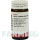 АРНИКА (ARNICA) D 30 глобули 20 г - Гомеопатия WALA HEILMITTEL