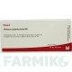 АРНИКА (ARNICA) D 6 ампулы 10x1 мл - Гомеопатия WALA HEILMITTEL