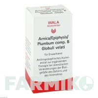 АРНІКА ЕПІФІЗІС (ARNICA EPIPHYSIS) глобули 20 г - Гомеопатія WALA HEILMITTEL