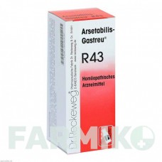 АРСЕТАБИЛИС (ARSETABILIS) смесь 50 мл - Гомеопатия DR.RECKEWEG