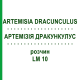 АРТЕМИЗИЯ ДРАКУНКУЛУС (ARTEMISIA DRACUNCULUS) LM 10 раствор 10 мл - Гомеопатия ARCANA DR.SEWERIN
