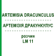 АРТЕМИЗИЯ ДРАКУНКУЛУС (ARTEMISIA DRACUNCULUS) LM 11 раствор 10 мл - Гомеопатия ARCANA DR.SEWERIN