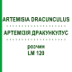 АРТЕМИЗИЯ ДРАКУНКУЛУС (ARTEMISIA DRACUNCULUS) LM 120 раствор 10 мл - Гомеопатия ARCANA DR.SEWERIN
