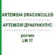 АРТЕМИЗИЯ ДРАКУНКУЛУС (ARTEMISIA DRACUNCULUS) LM 17 раствор 10 мл - Гомеопатия ARCANA DR.SEWERIN