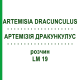 АРТЕМИЗИЯ ДРАКУНКУЛУС (ARTEMISIA DRACUNCULUS) LM 19 раствор 10 мл - Гомеопатия ARCANA DR.SEWERIN