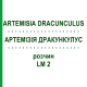 АРТЕМИЗИЯ ДРАКУНКУЛУС (ARTEMISIA DRACUNCULUS) LM 2 раствор 10 мл - Гомеопатия ARCANA DR.SEWERIN