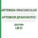 АРТЕМИЗИЯ ДРАКУНКУЛУС (ARTEMISIA DRACUNCULUS) LM 21 раствор 10 мл - Гомеопатия ARCANA DR.SEWERIN