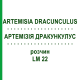 АРТЕМИЗИЯ ДРАКУНКУЛУС (ARTEMISIA DRACUNCULUS) LM 22 раствор 10 мл - Гомеопатия ARCANA DR.SEWERIN