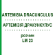 АРТЕМИЗИЯ ДРАКУНКУЛУС (ARTEMISIA DRACUNCULUS) LM 23 раствор 10 мл - Гомеопатия ARCANA DR.SEWERIN