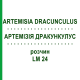 АРТЕМИЗИЯ ДРАКУНКУЛУС (ARTEMISIA DRACUNCULUS) LM 24 раствор 10 мл - Гомеопатия ARCANA DR.SEWERIN