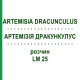 АРТЕМИЗИЯ ДРАКУНКУЛУС (ARTEMISIA DRACUNCULUS) LM 25 раствор 10 мл - Гомеопатия ARCANA DR.SEWERIN