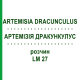 АРТЕМИЗИЯ ДРАКУНКУЛУС (ARTEMISIA DRACUNCULUS) LM 27 раствор 10 мл - Гомеопатия ARCANA DR.SEWERIN