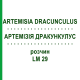 АРТЕМИЗИЯ ДРАКУНКУЛУС (ARTEMISIA DRACUNCULUS) LM 29 раствор 10 мл - Гомеопатия ARCANA DR.SEWERIN