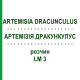 АРТЕМИЗИЯ ДРАКУНКУЛУС (ARTEMISIA DRACUNCULUS) LM 3 раствор 10 мл - Гомеопатия ARCANA DR.SEWERIN