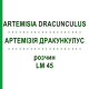 АРТЕМИЗИЯ ДРАКУНКУЛУС (ARTEMISIA DRACUNCULUS) LM 45 раствор 10 мл - Гомеопатия ARCANA DR.SEWERIN