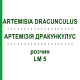 АРТЕМИЗИЯ ДРАКУНКУЛУС (ARTEMISIA DRACUNCULUS) LM 5 раствор 10 мл - Гомеопатия ARCANA DR.SEWERIN