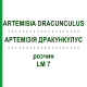 АРТЕМИЗИЯ ДРАКУНКУЛУС (ARTEMISIA DRACUNCULUS) LM 7 раствор 10 мл - Гомеопатия ARCANA DR.SEWERIN