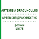 АРТЕМИЗИЯ ДРАКУНКУЛУС (ARTEMISIA DRACUNCULUS) LM 75 раствор 10 мл - Гомеопатия ARCANA DR.SEWERIN