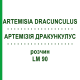 АРТЕМИЗИЯ ДРАКУНКУЛУС (ARTEMISIA DRACUNCULUS) LM 90 раствор 10 мл - Гомеопатия ARCANA DR.SEWERIN