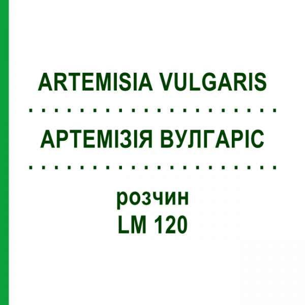 АРТЕМИЗИЯ ВУЛГАРИС (ARTEMISIA VULGARIS) LM 120 раствор 10 мл - Гомеопатия ARCANA DR.SEWERIN