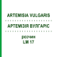 АРТЕМИЗИЯ ВУЛГАРИС (ARTEMISIA VULGARIS) LM 17 раствор 10 мл - Гомеопатия ARCANA DR.SEWERIN
