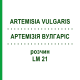 АРТЕМИЗИЯ ВУЛГАРИС (ARTEMISIA VULGARIS) LM 21 раствор 10 мл - Гомеопатия ARCANA DR.SEWERIN