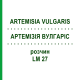 АРТЕМИЗИЯ ВУЛГАРИС (ARTEMISIA VULGARIS) LM 27 раствор 10 мл - Гомеопатия ARCANA DR.SEWERIN