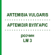 АРТЕМИЗИЯ ВУЛГАРИС (ARTEMISIA VULGARIS) LM 3 раствор 10 мл - Гомеопатия ARCANA DR.SEWERIN