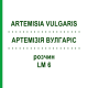 АРТЕМИЗИЯ ВУЛГАРИС (ARTEMISIA VULGARIS) LM 6 раствор 10 мл - Гомеопатия ARCANA DR.SEWERIN