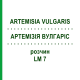 АРТЕМИЗИЯ ВУЛГАРИС (ARTEMISIA VULGARIS) LM 7 раствор 10 мл - Гомеопатия ARCANA DR.SEWERIN