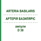 АРТЕРИЯ БАЗИЛЯРИС (ARTERIA BASILARIS) D 30 ампулы 10x1 мл - Гомеопатия WALA HEILMITTEL
