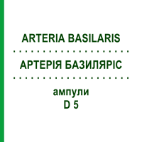 АРТЕРІЯ БАЗИЛЯРІС (ARTERIA BASILARIS) D 5 ампули 10x1 мл - Гомеопатія WALA HEILMITTEL
