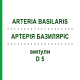 АРТЕРИЯ БАЗИЛЯРИС (ARTERIA BASILARIS) D 5 ампулы 10x1 мл - Гомеопатия WALA HEILMITTEL