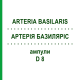 АРТЕРИЯ БАЗИЛЯРИС (ARTERIA BASILARIS) D 8 ампулы 10x1 мл - Гомеопатия WALA HEILMITTEL
